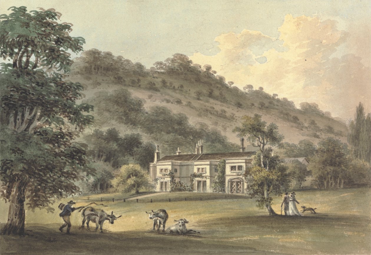 Grove Cottage, Box Hill, Surrey, a sede da Esq. George Barclay. de John Hassell