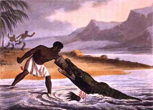 The African Crocodile Hunters, gravado por Matthew Dubourg (fl.1785-1820), publicado por Edward Orme de John Heaviside (after) Clark