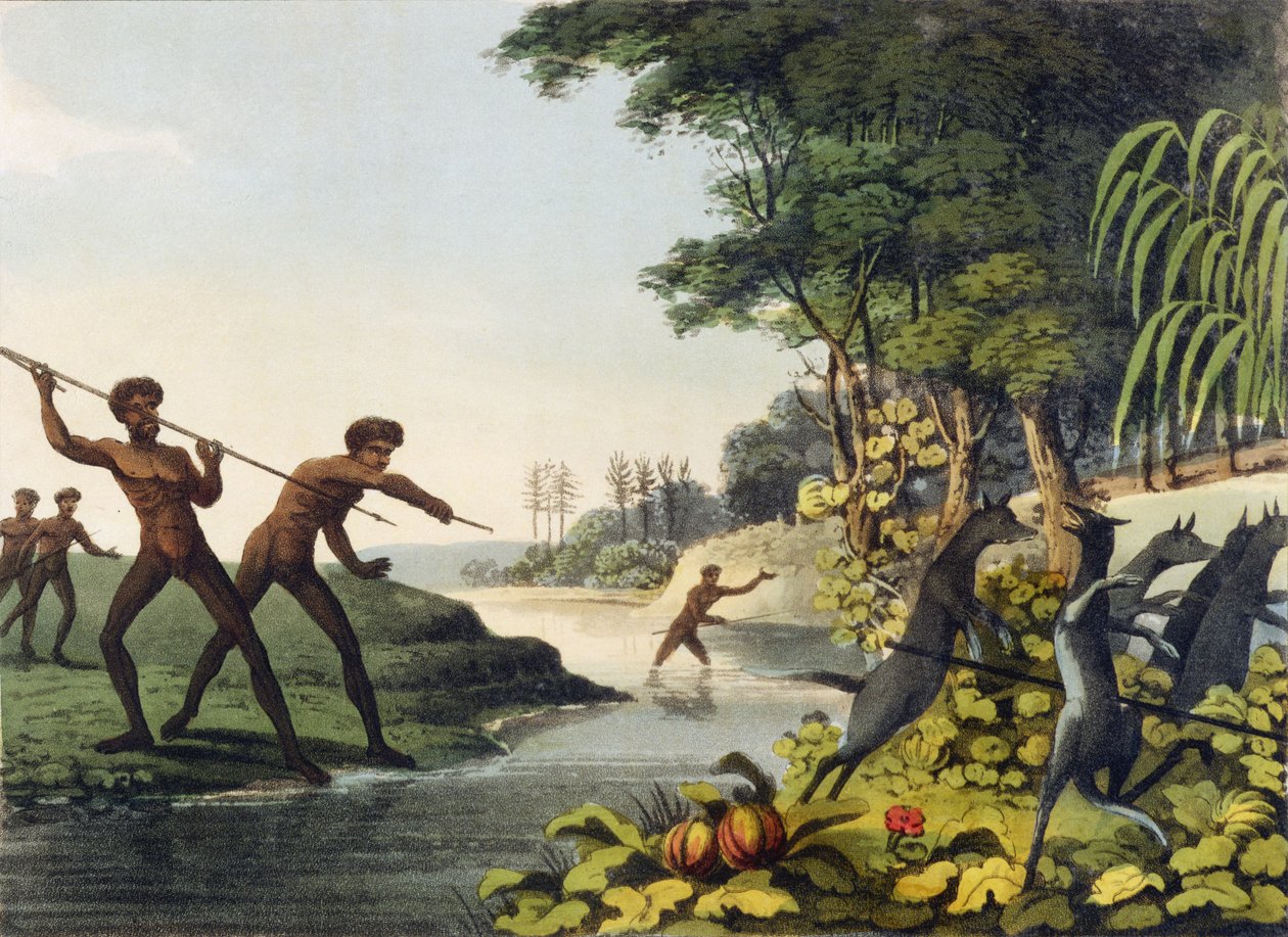 Caçando o canguru, aborígines em Nova Gales do Sul gravada por Matthew Dubourg (fl.1813-1820) 1813 de John Heaviside Clark