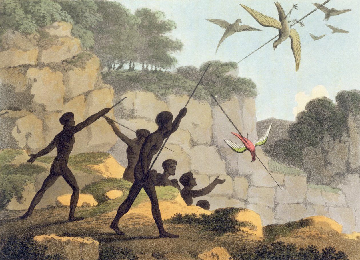Jogando a lança, os aborígenes caçam pássaros de Novo Gales do Sul gravados pelo bar de Matthew Dubourg (f.1813-1820). 1813 de John Heaviside Clark