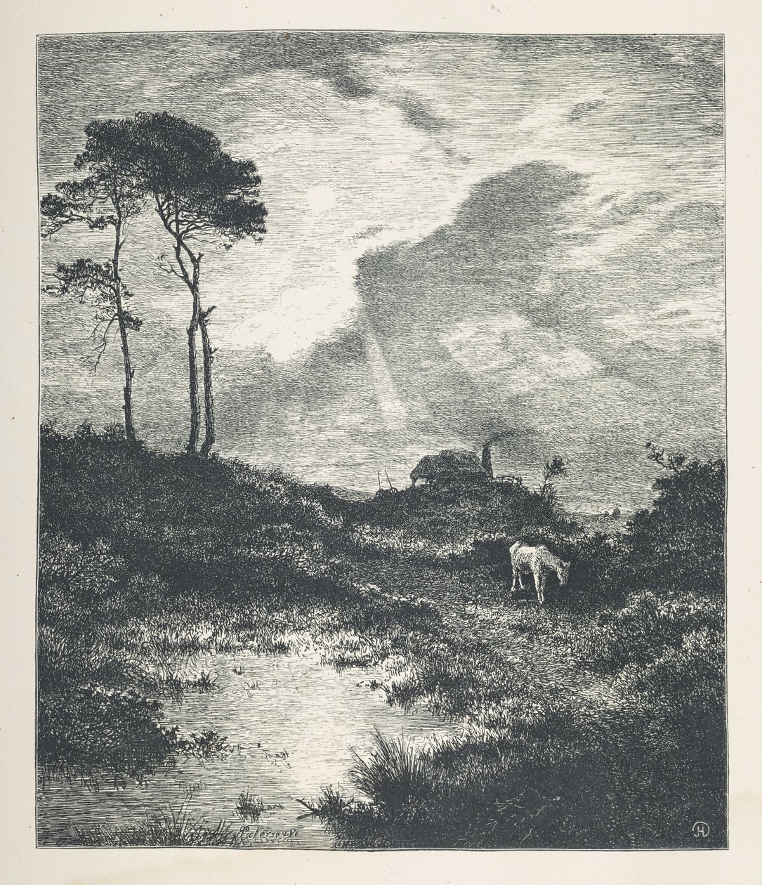 Ilustração 15. Uma cena pastoral.  Fotos da Natureza. Uma série de trinta ilustrações originais desenhadas em madeira por J. H. Dell e gravadas por R. Paterson.  John Henry Dell de John Henry Dell