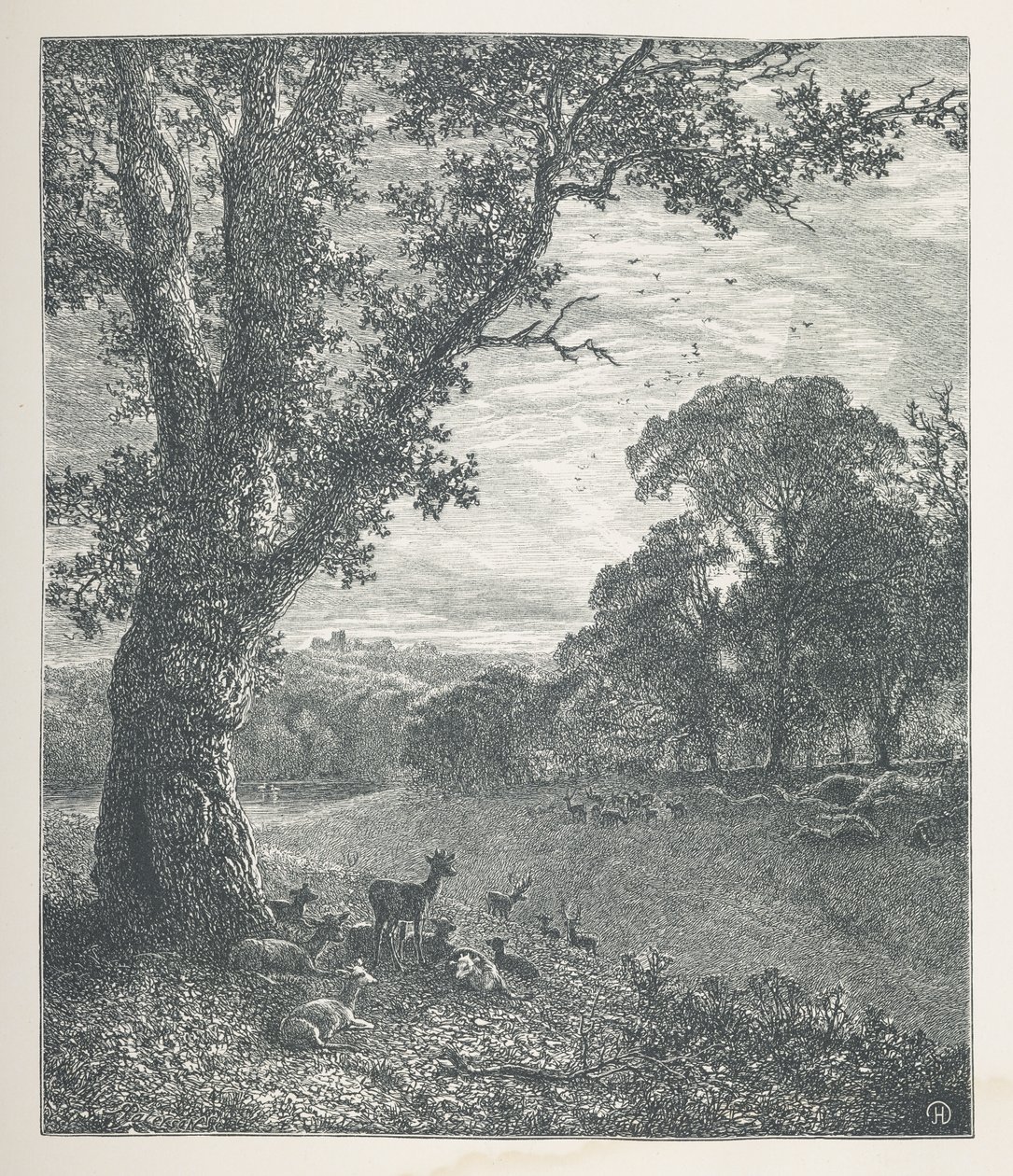 Placa 3. Cervo em volta de uma árvore.  Fotos da Natureza. Uma série de trinta ilustrações originais desenhadas em madeira por J. H. Dell e gravadas por R. Paterson.  John Henry Dell de John Henry Dell
