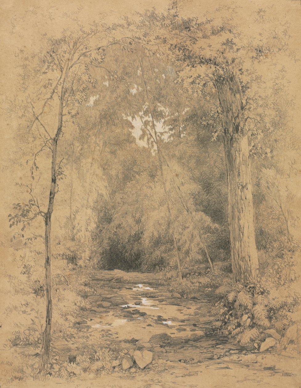 Interior da floresta, c. 1870 de John Henry Hill