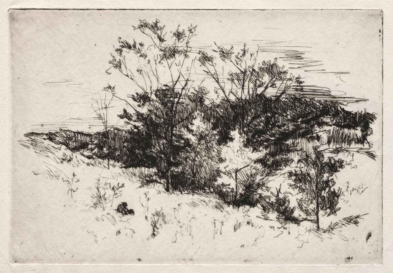 Paisagem de outono, 1879-80. de John Henry Twachtman