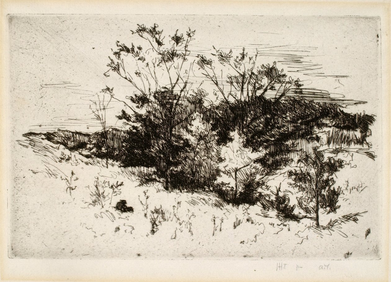 Paisagismo perto de Cincinnati de John Henry Twachtman