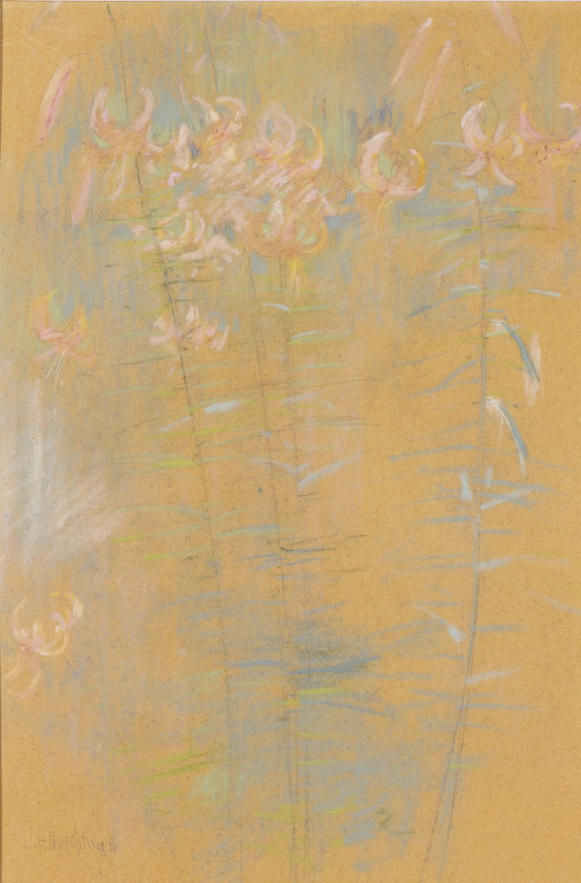 Lírios-tigre de John Henry Twachtman