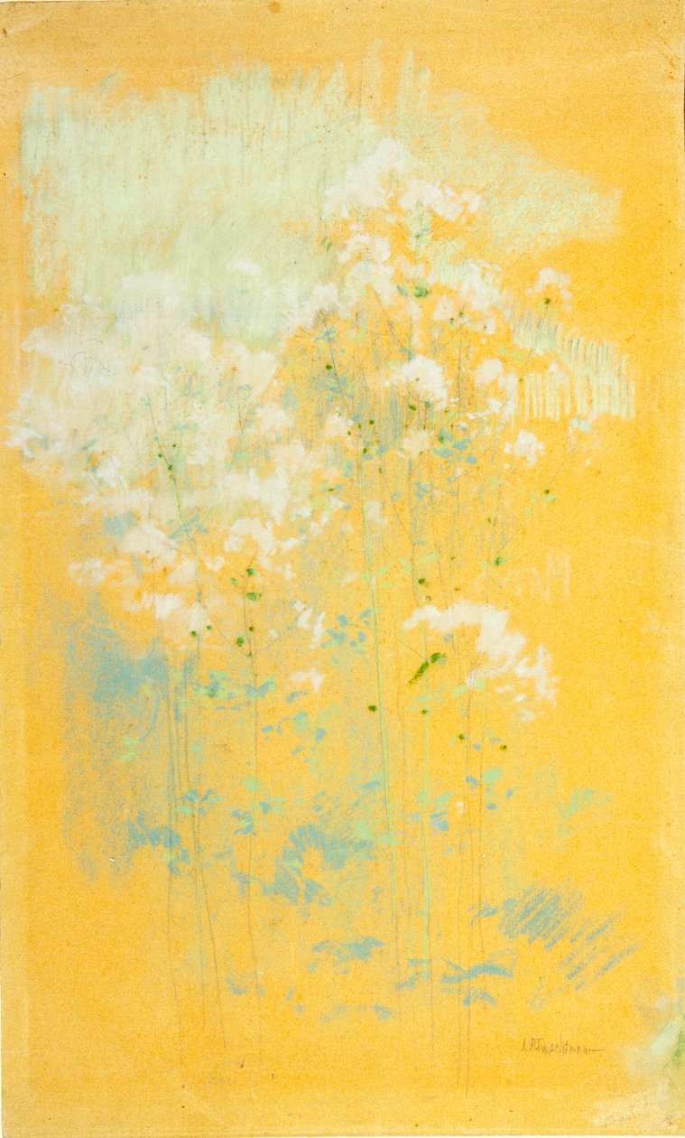 Flores silvestres de John Henry Twachtman