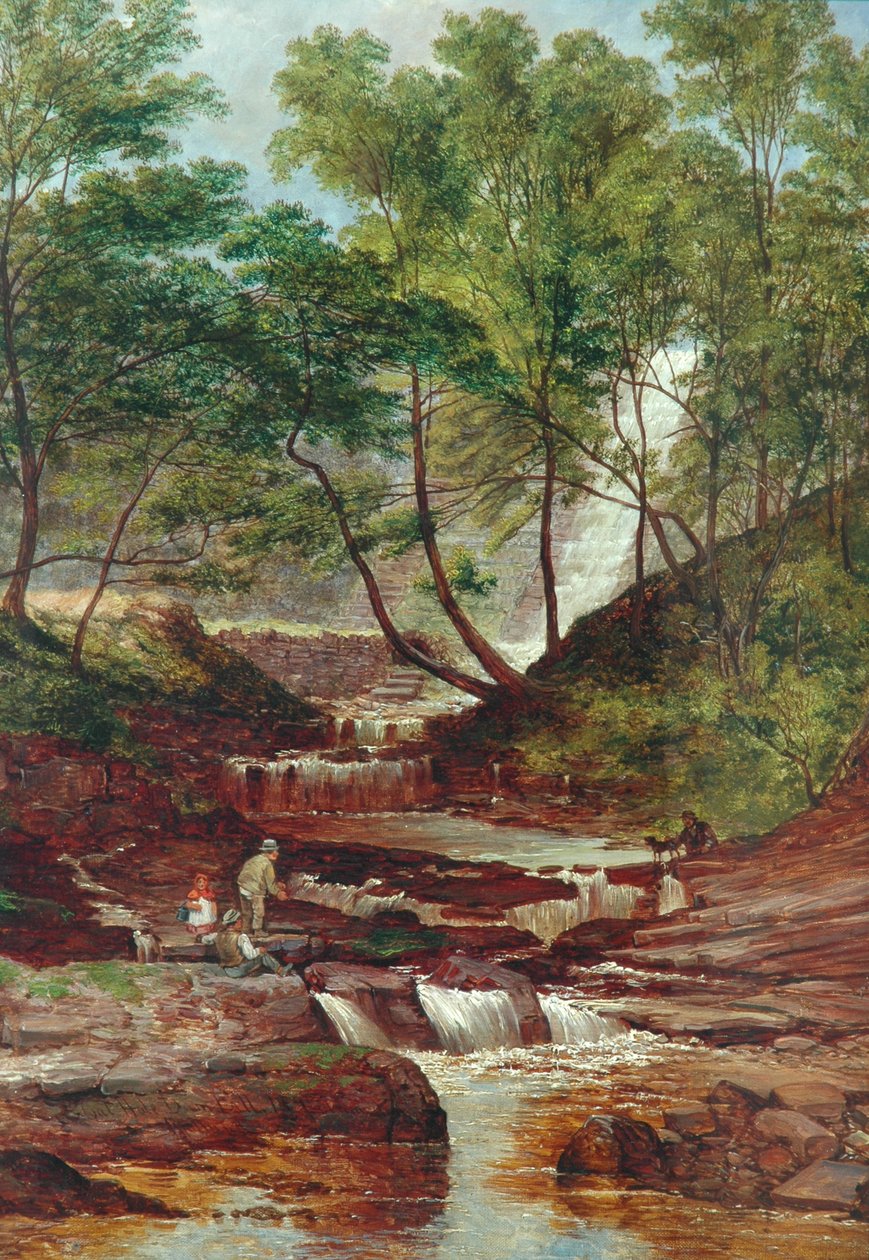 Cat Holes Dam Fall em Todmorden, 1870 de John Holland