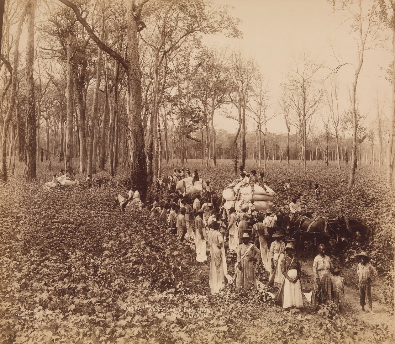 12 horas no Deadening, ca. 1891. de John Horgan