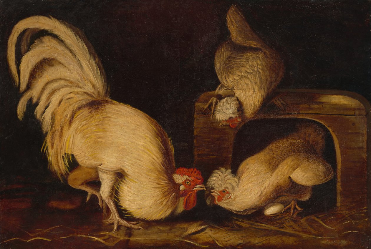 Aves de fazenda, c. 1827. de John James Audubon