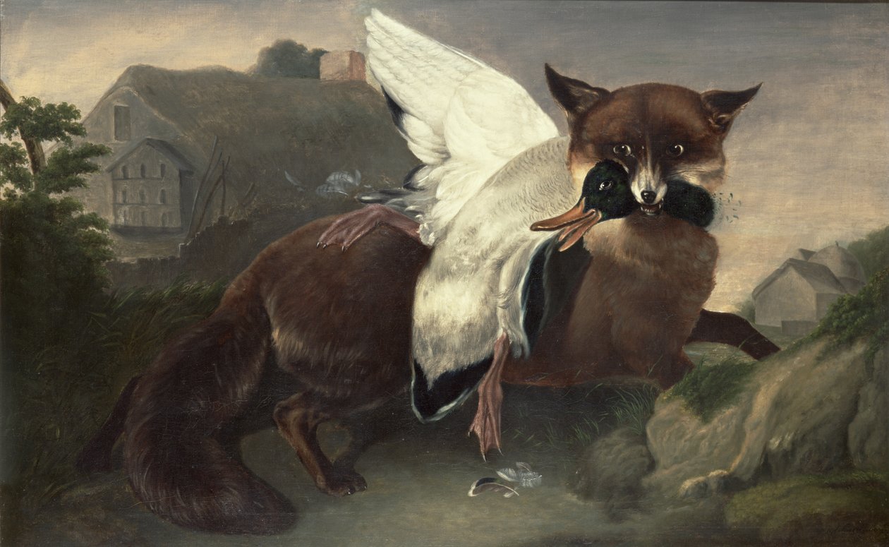 Raposa e ganso, c.1835 (óleo sobre tela) de John James Audubon