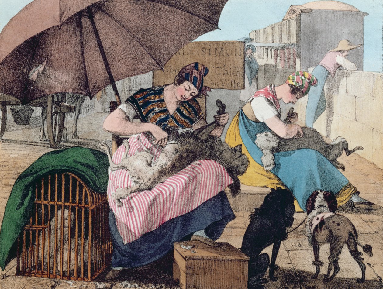 Clippers para cães no Pont-Neuf de John James Chalon