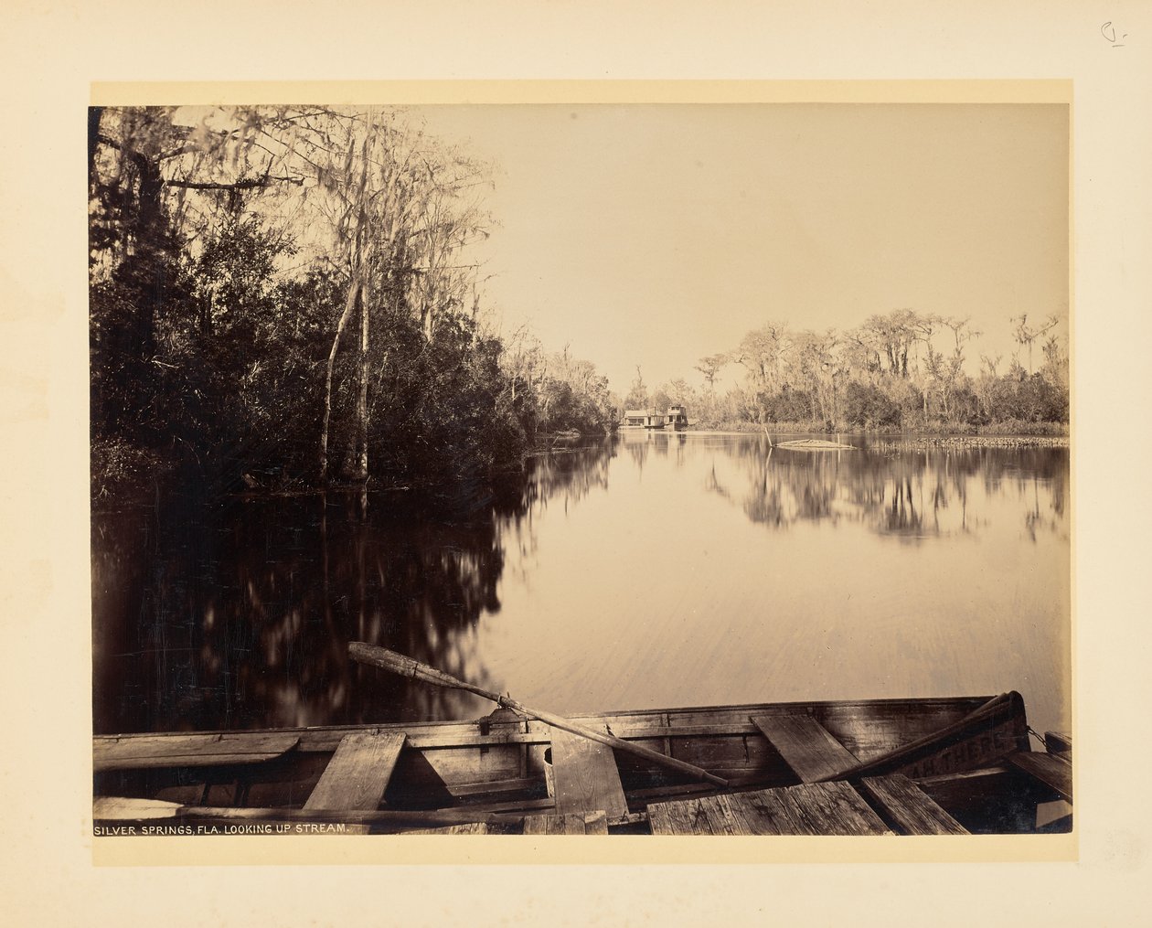 Silver Springs, Florida, vista para montante de John K. Hillers