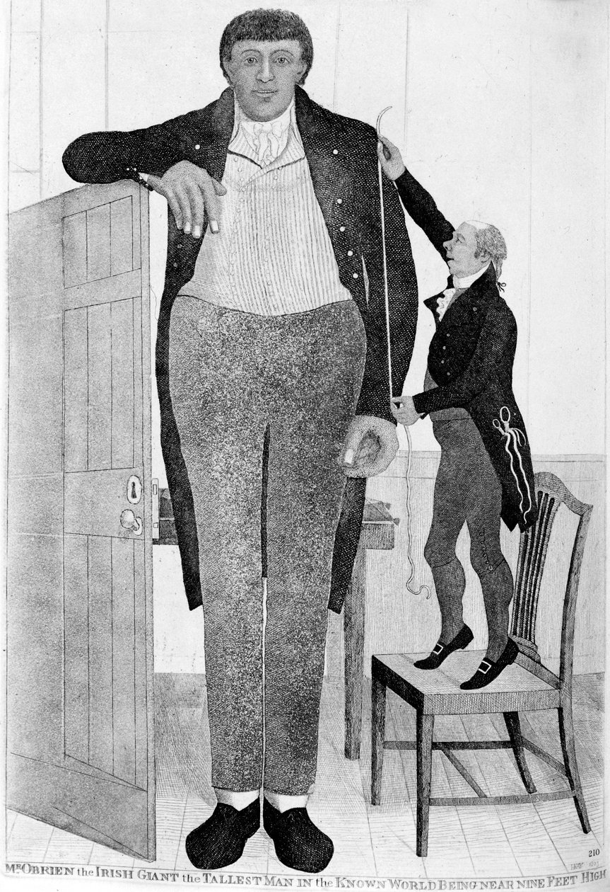 Sr. OBrien, o gigante irlandês, o homem mais alto do mundo conhecido, 1803. de John Kay
