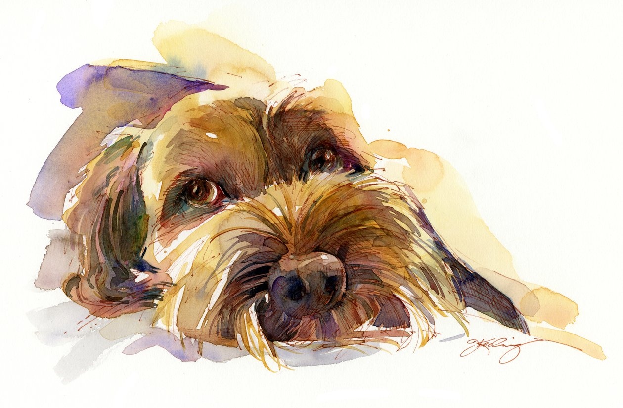 Retrato de Charlie, 2015 (aguarela) de John Keeling