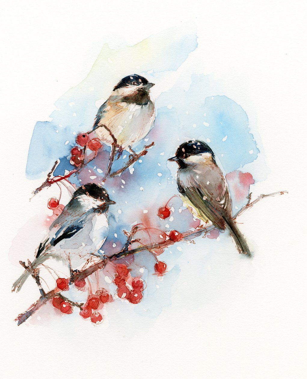 Chickadees com Berries, 2017, (aguarela) de John Keeling