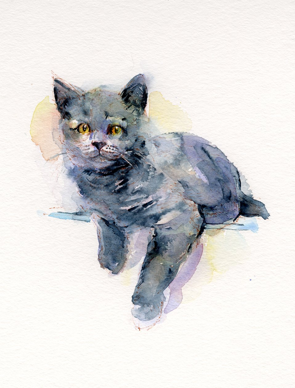 Gatinho cinzento, 2017, (aguarela) de John Keeling