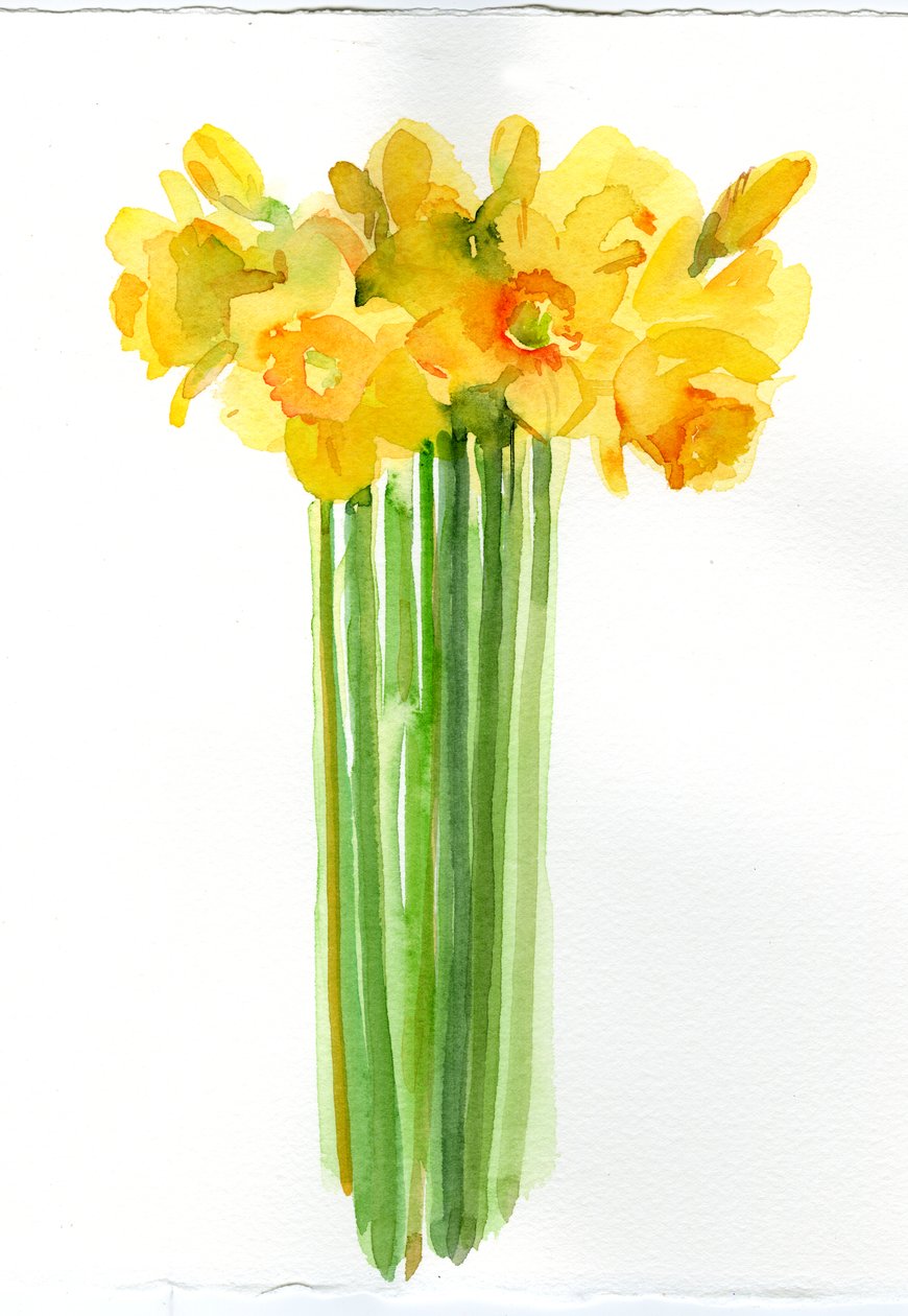 Bando de Narciso; 2014; (aguarela) de John Keeling