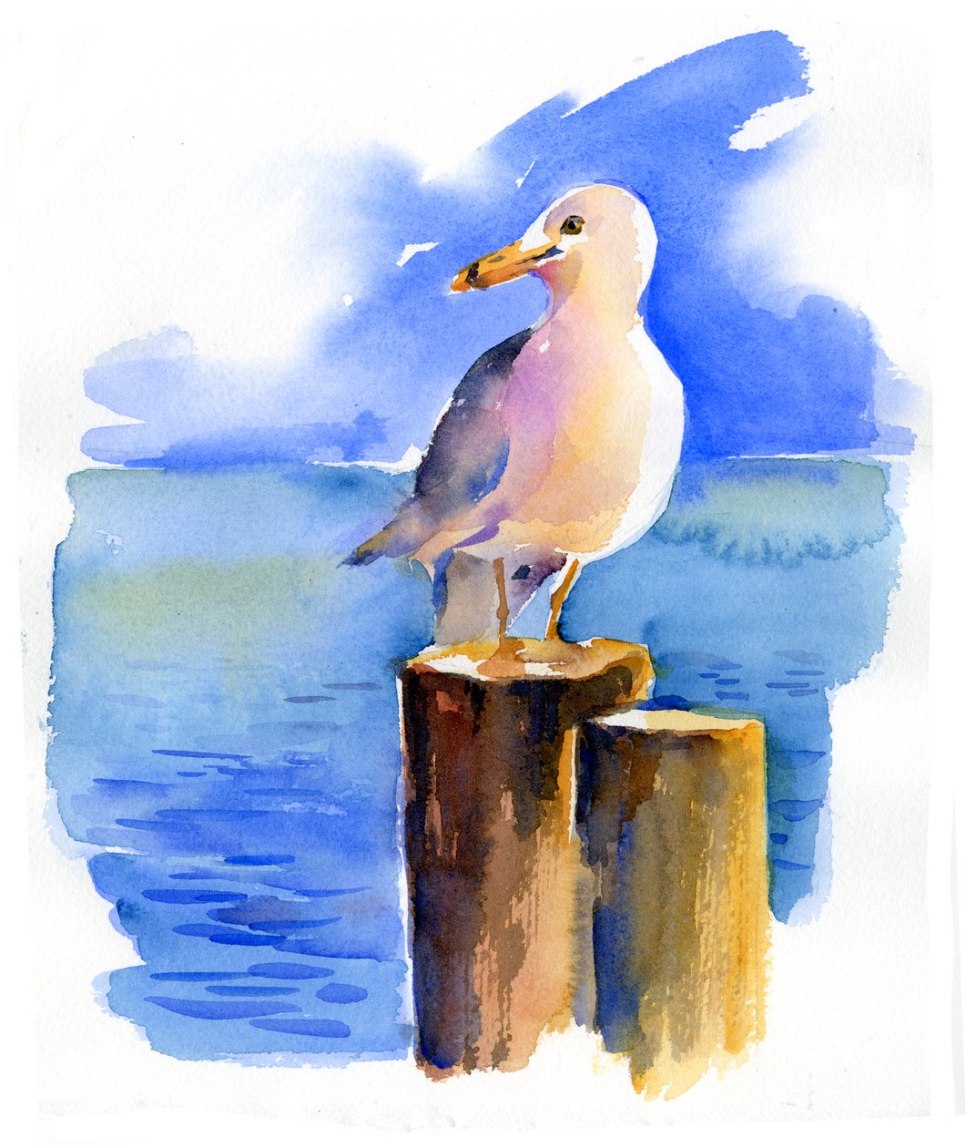 Gaivota na doca, 2014, (aquarela) de John Keeling