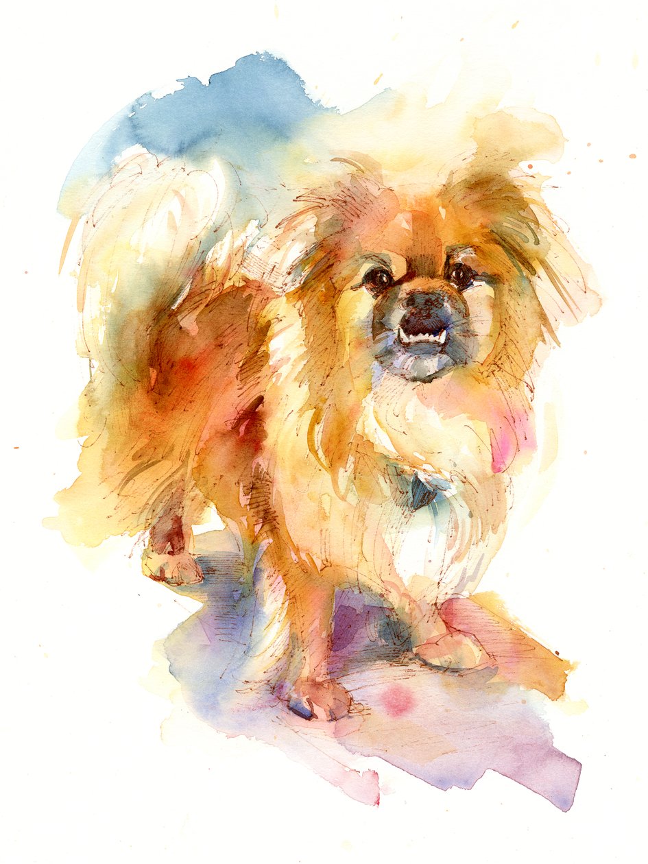Retrato de Tipper, 2016, (aquarela) de John Keeling