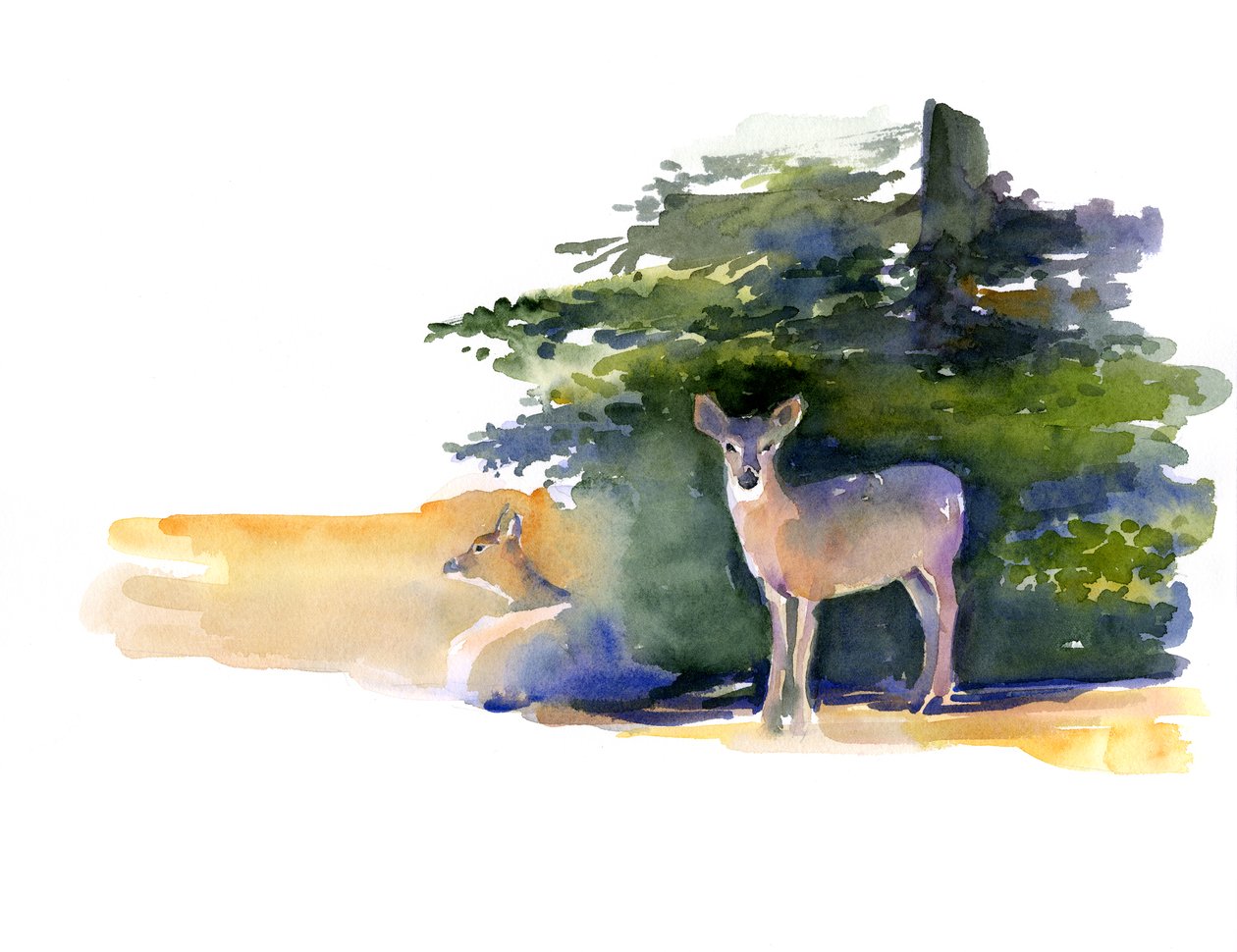 Dois cervos, 2014, (aquarela) de John Keeling