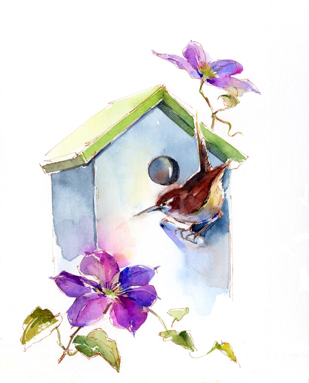 Carriça com casa de passarinho e clematis, 2016, (aquarela) de John Keeling