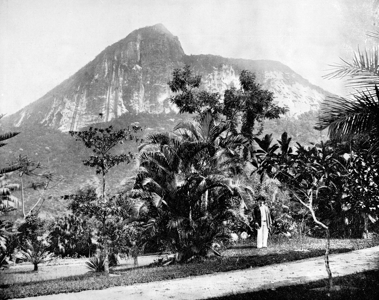 Botanical Gardens and Mount Corcovado, Rio De Janeiro, Brazil, 1893. de John L. Stoddard