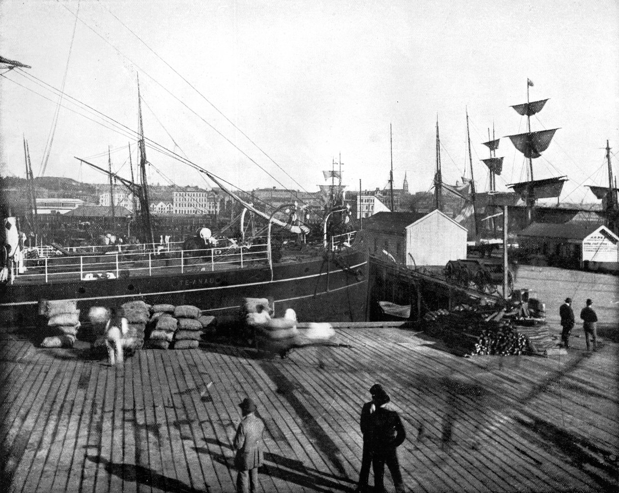 Porto de Auckland, Nova Zelândia, 1893. de John L. Stoddard