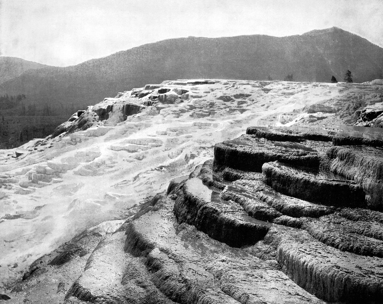 Mammoth Hot Springs, Parque Nacional de Yellowstone, EUA, 1893. de John L. Stoddard