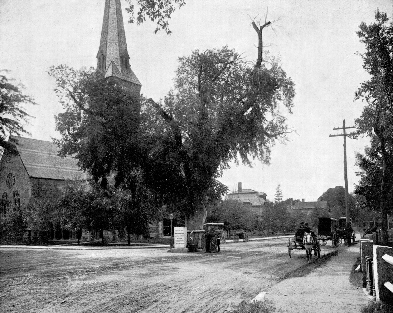 Washington Elm e Memorial Stone, Cambridge, Massachusetts, EUA, 1893. de John L. Stoddard