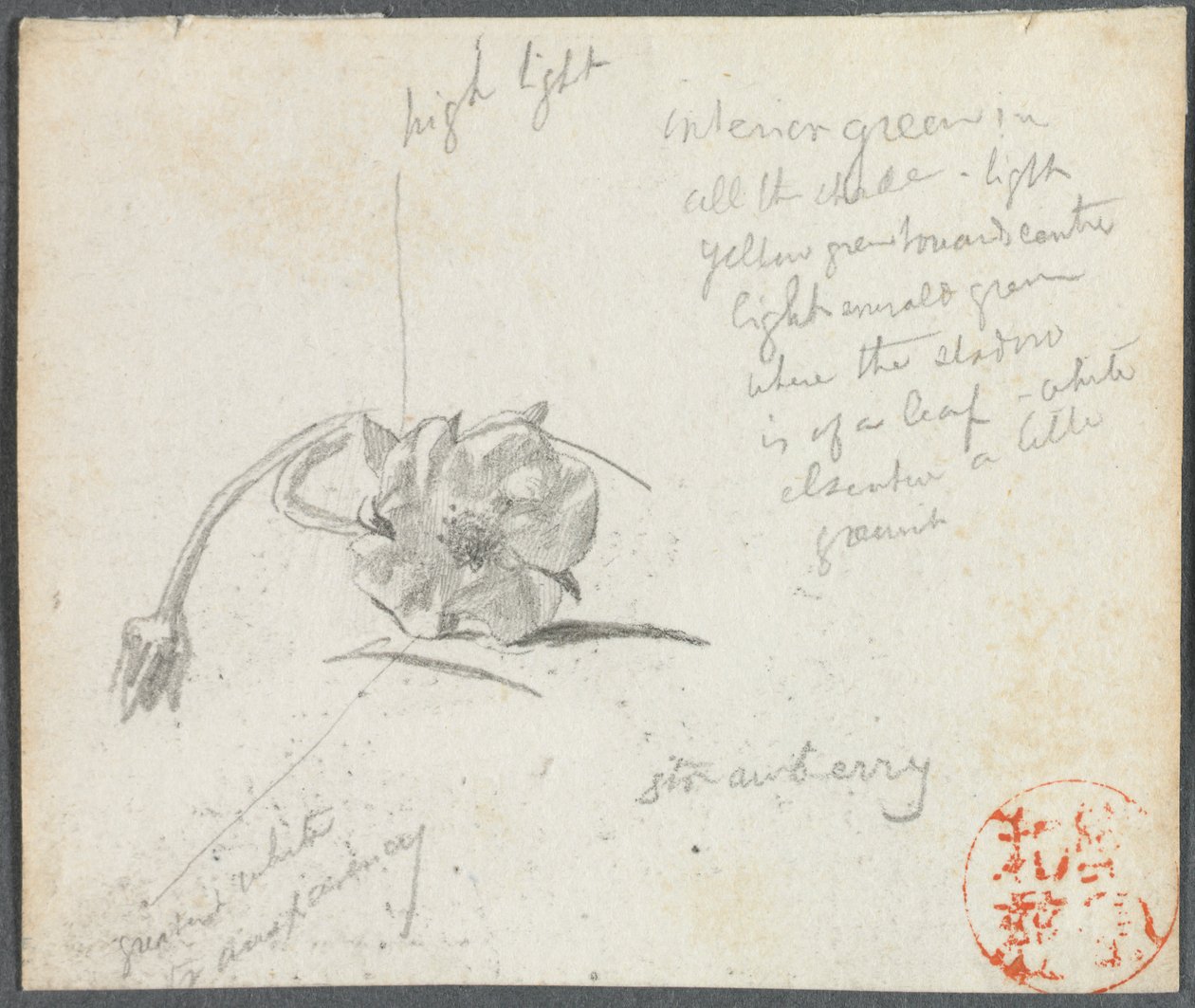 Flor de morango. de John La Farge