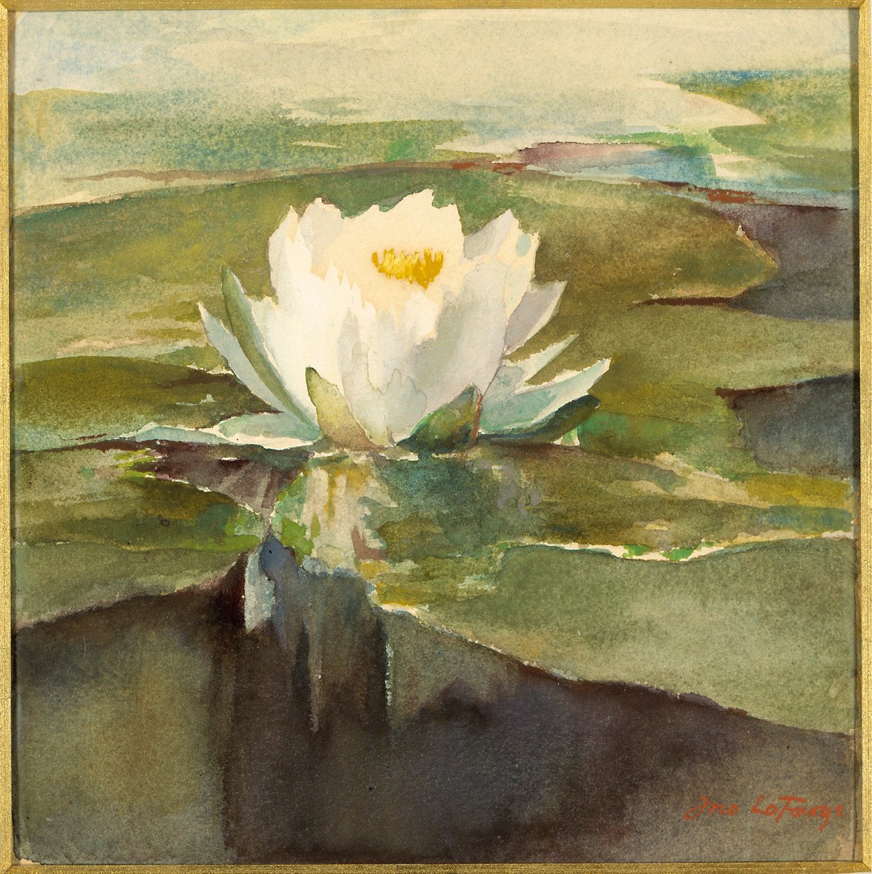 Nenúfar à luz do sol de John La Farge