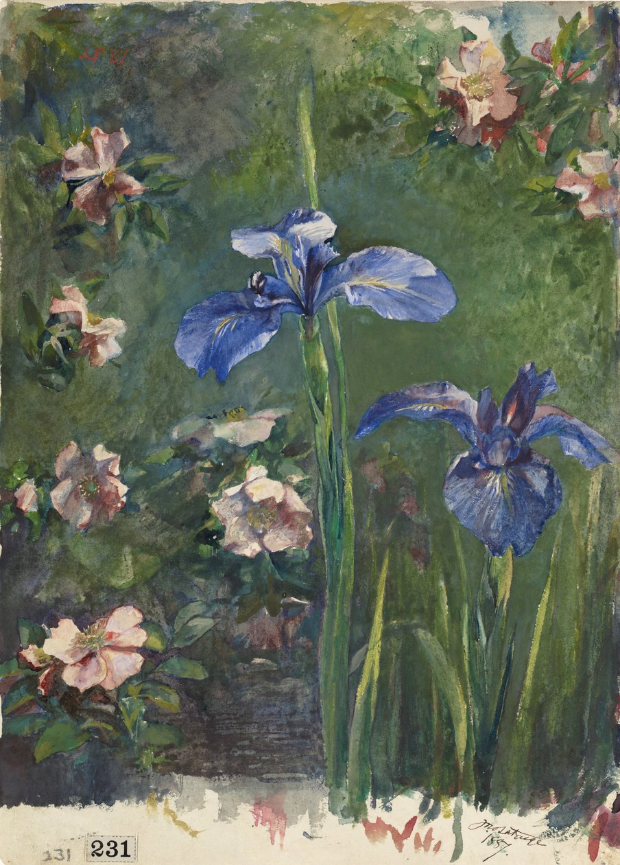 Wild Roses and Irises, 1887. de John La Farge