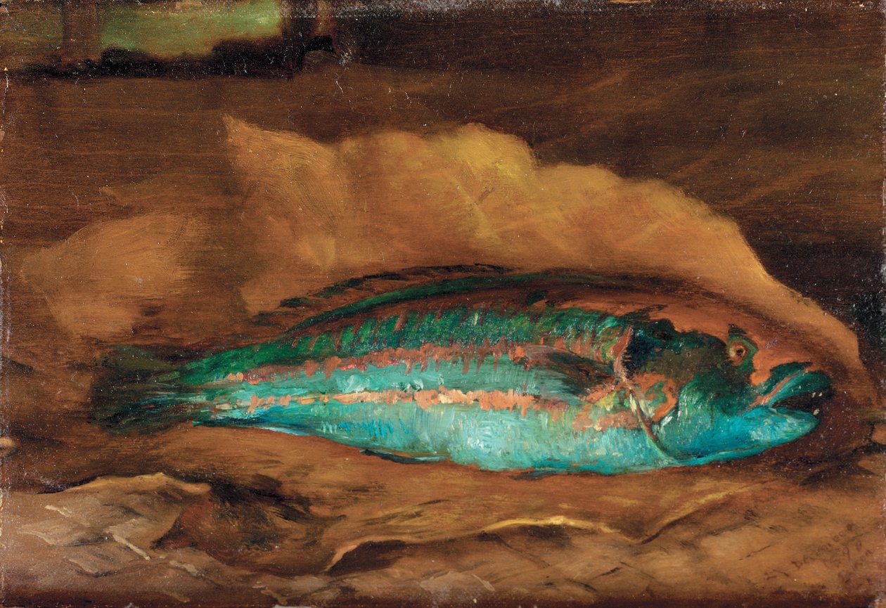 Estudo do peixe papagaio, Samoa, 1890 de John La Farge or Lafarge