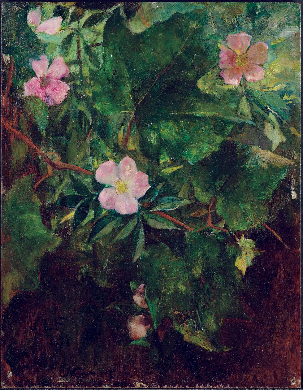 Rosa selvagem e videira, estudo da natureza, 1871 de John La Farge or Lafarge