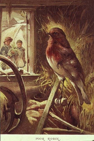 Pobre Robin, ilustração de 