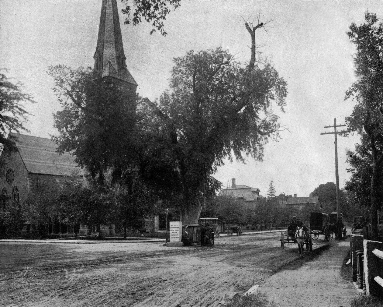 Olmeiro de Washington em Cambridge, Massachusetts, EUA, c. 1900 (foto a p/b) de John Lawson Stoddard