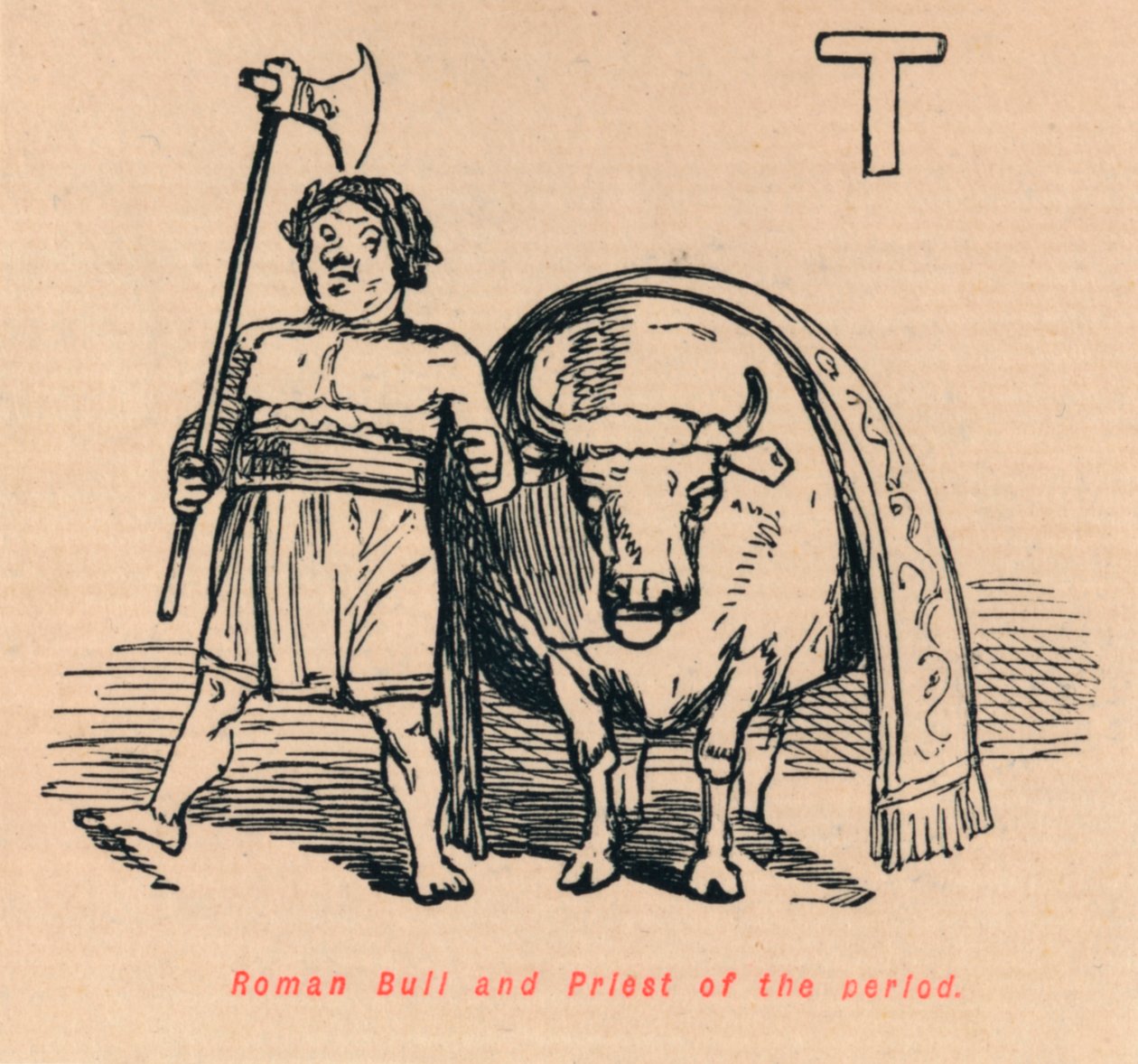 Touro Romano e Sacerdote do período, 1852 de John Leech