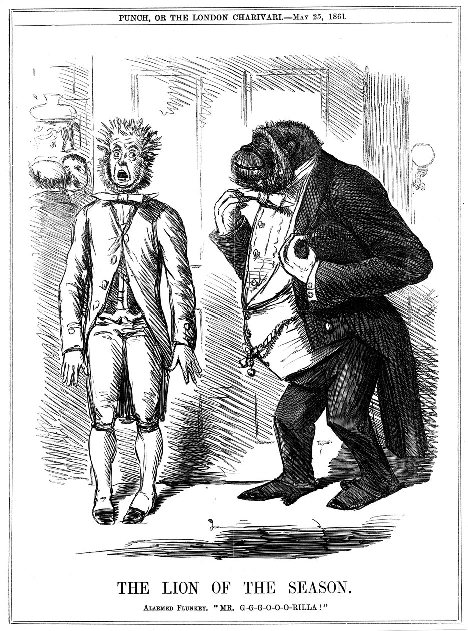 O leão da estação, 1861 de John Leech