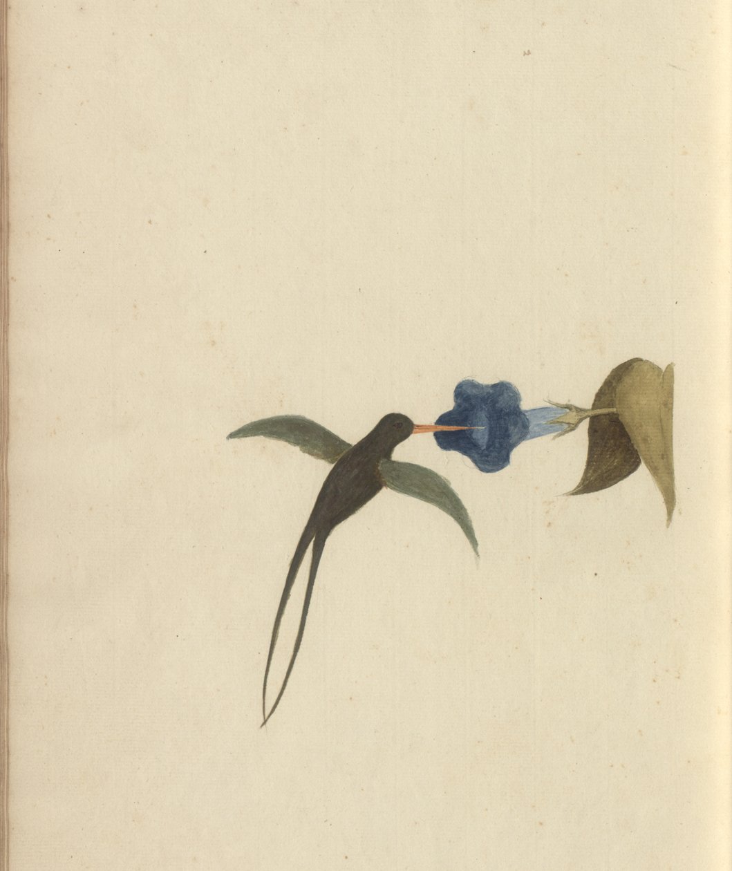 Uma página de &39;Elegancies of Jamaica&39;, Vol V, 22 de John Lindsay