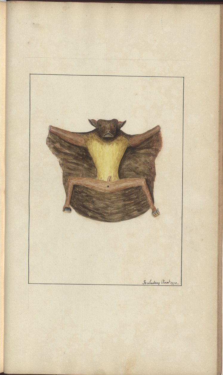 Uma página de &39;Elegancies of Jamaica&39;, Vol V, 26 de John Lindsay
