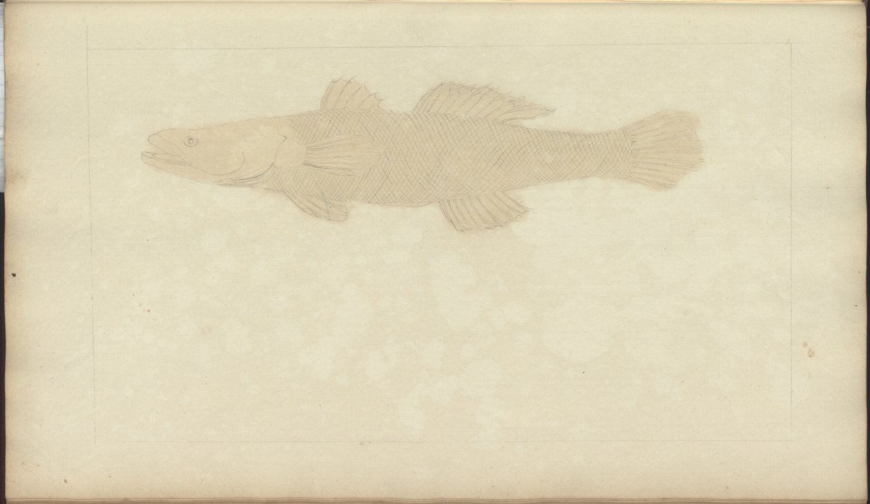 Lindsay Drawings Vol. VII, 22 de John Lindsay