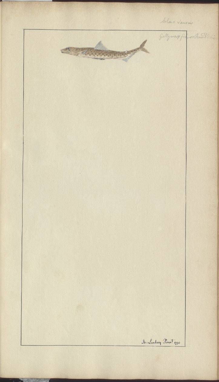 Lindsay Drawings Vol. VII, 23 de John Lindsay