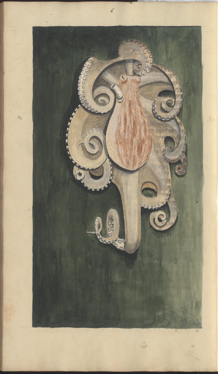 Lindsay Drawings Vol. VII, 28 de John Lindsay