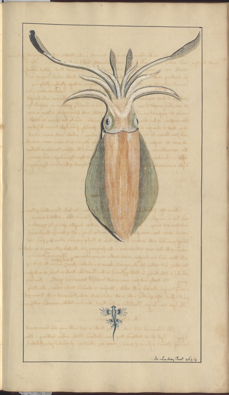 Lindsay Drawings Vol. VII, 29 de John Lindsay