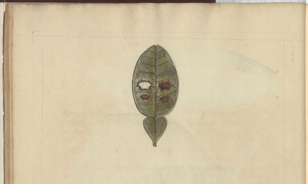 Desenhos de Lindsay Vol. VII, 3 de John Lindsay