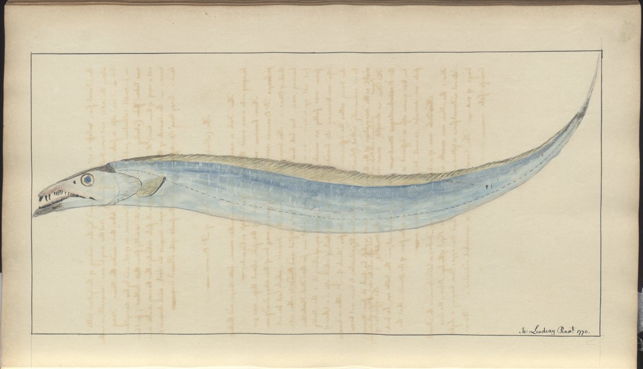 Desenhos de Lindsay Vol. VII, 9 de John Lindsay