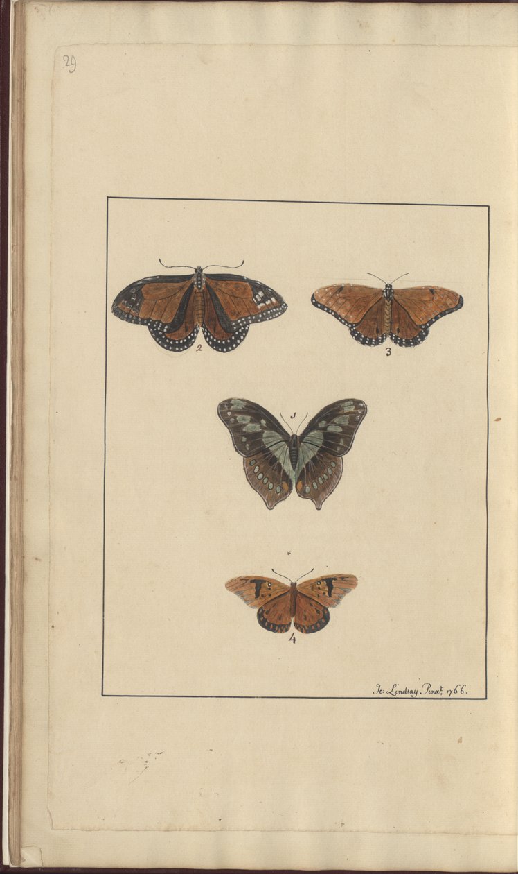 Desenhos de Lindsay Vol. VI, 29 de John Lindsay