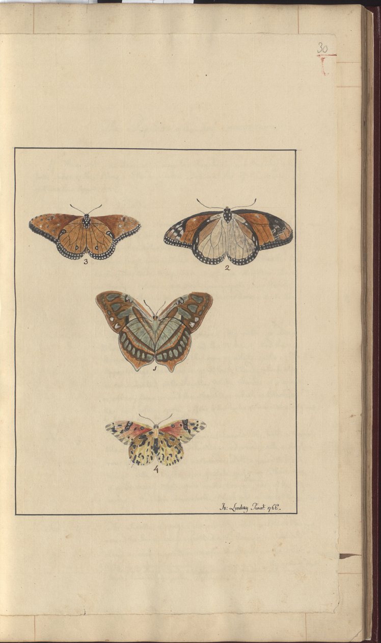 Lindsay Drawings Vol. VI, 30 de John Lindsay