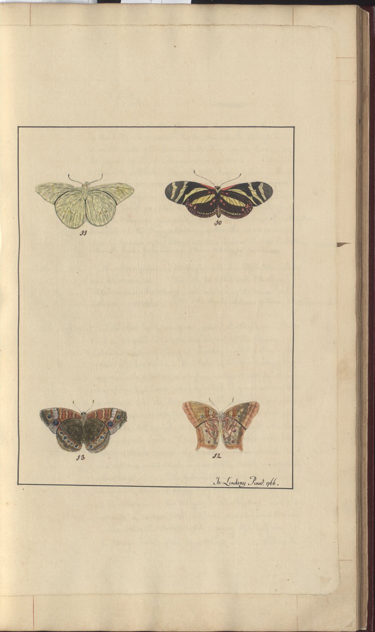 Lindsay Drawings Vol. VI, 36 de John Lindsay